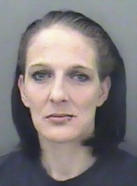 Photo of Vicky Cherry, a middle-aged woman with pale skin and straight brown chin-length hair.