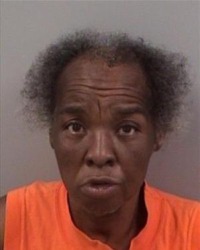 Photo of Kathryn Ashe. She is a middle-aged African-American woman with dark brown skin and frizzy, graying black hair. She is wearing a bright orange T-shirt and looks like she was photographed while she was talking.